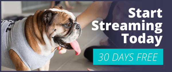 weight loss yoga workouts